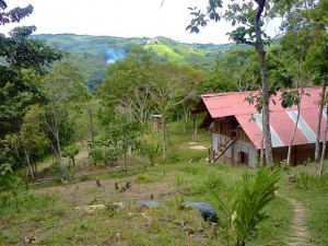 View from Sachaqa Centro de Arte of San Roque de Cumbaza.