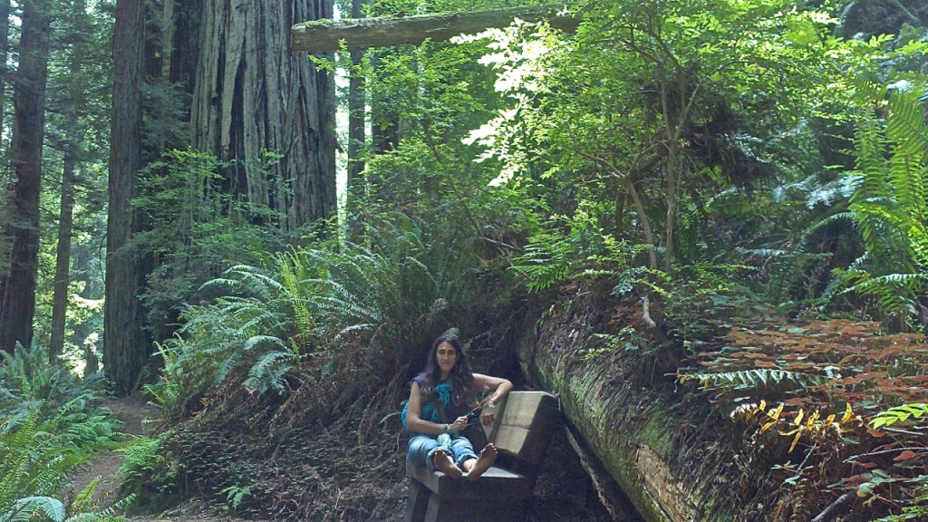 redwoods2015june